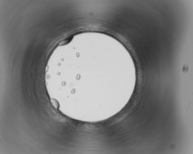 X0000111180481200908121115