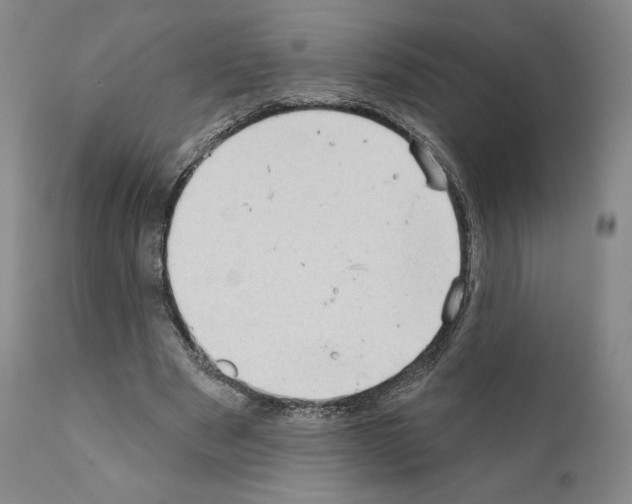 X0000111180489200908121115