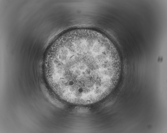 X0000111180491200908121115