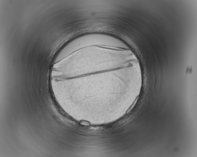 X0000111180493200908121115