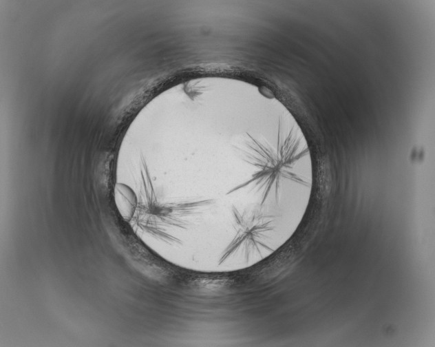 X0000111180495200908121115