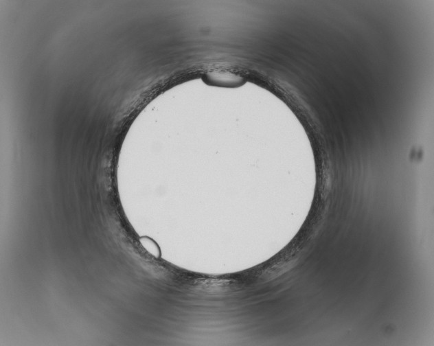 X0000111180497200908121115