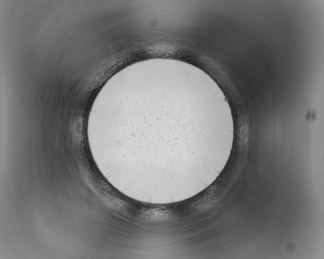 X0000111180498200908121115