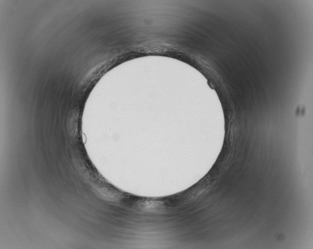 X0000111180501200908121115