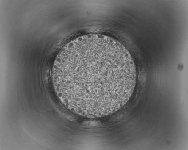 X0000111180503200908121115