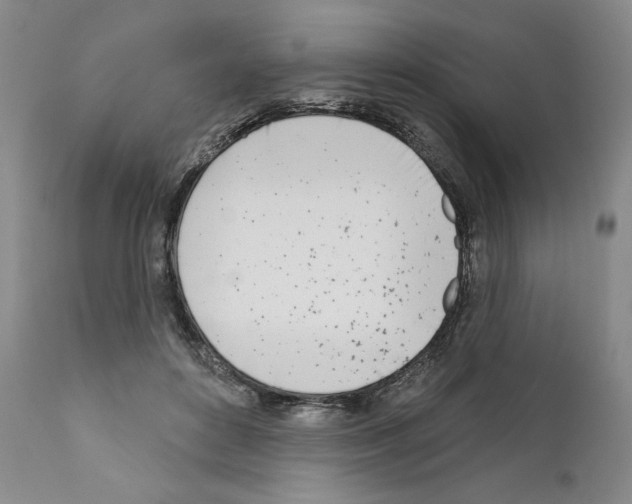 X0000111180504200908121115