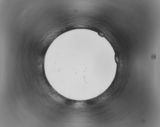 X0000111180505200908121115