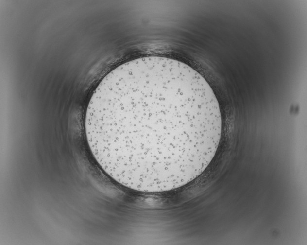 X0000111180506200908121115