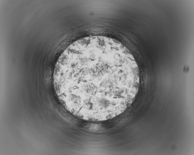 X0000111180507200908121115