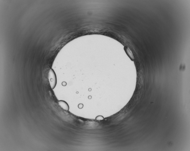 X0000111180509200908121115