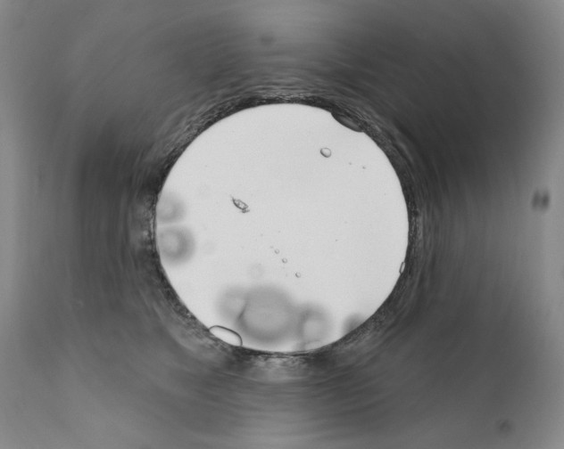 X0000111180517200908121115