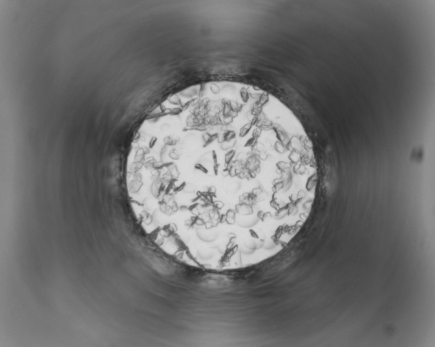 X0000111180519200908121115