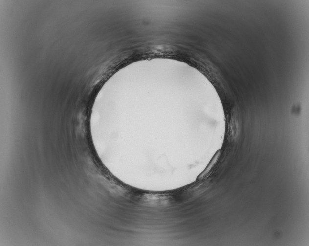 X0000111180520200908121115