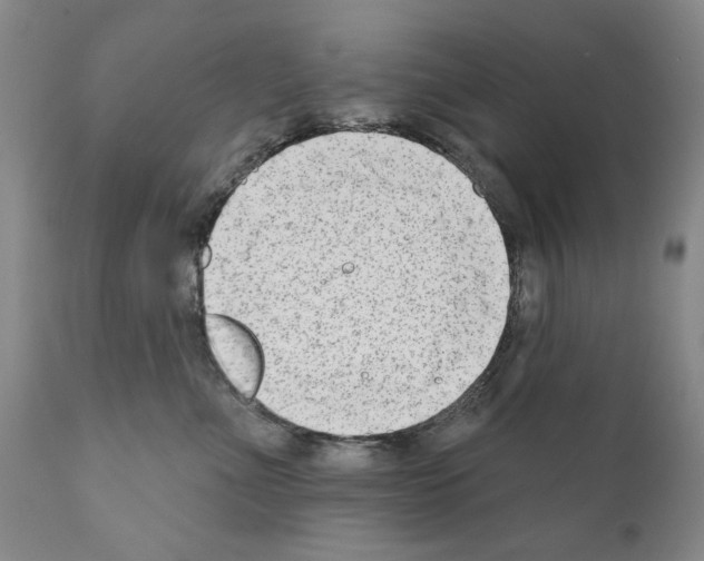 X0000111180523200908121115