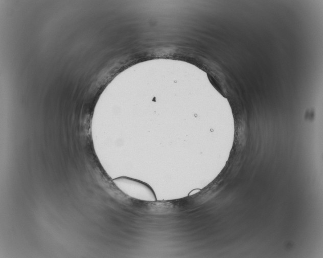 X0000111180525200908121114