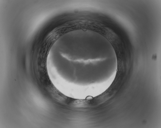 X0000111180526200908121114