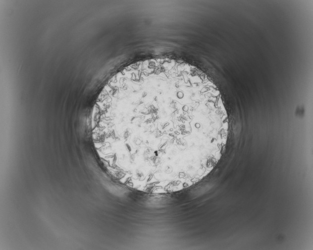 X0000111180527200908121114