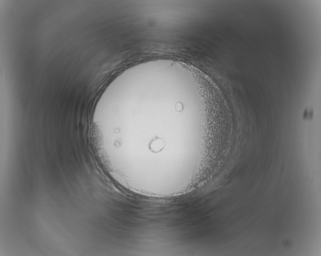 X0000111180528200908121114