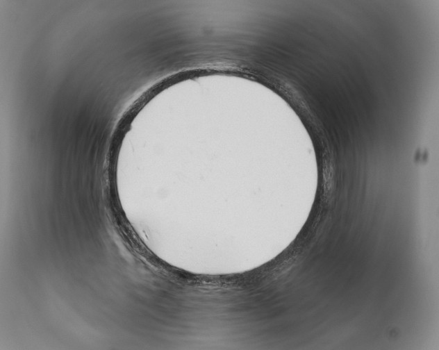 X0000111180532200908121114