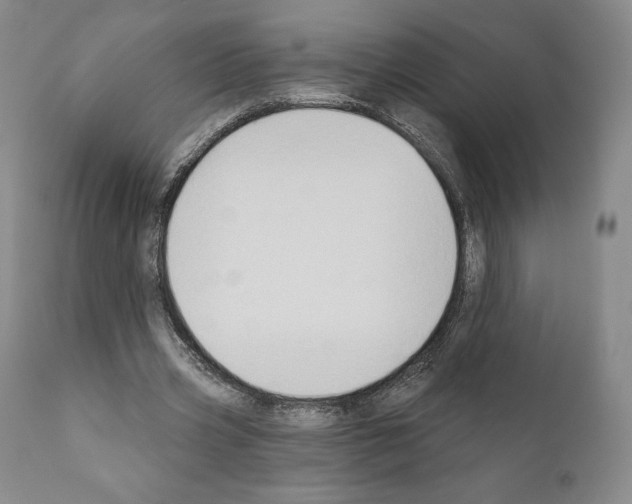 X0000111180533200908121114