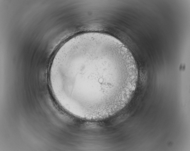 X0000111180534200908121114