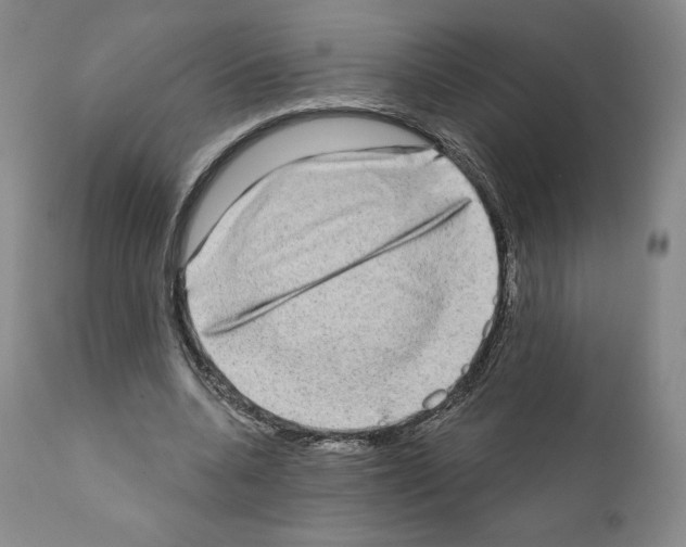 X0000111180536200908121114