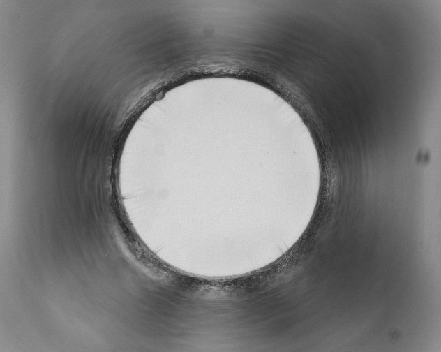 X0000111180538200908121114