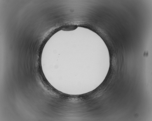 X0000111180540200908121114