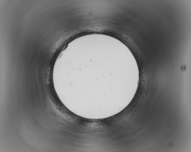 X0000111180544200908121114