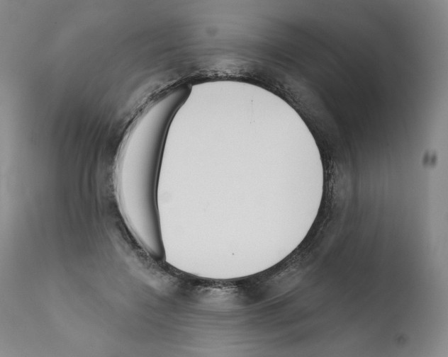 X0000111180548200908121114