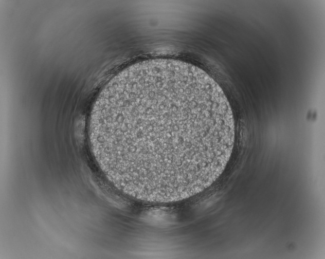 X0000111180550200908121114