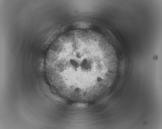 X0000111180553200908121114