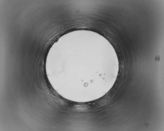 X0000111180556200908121114