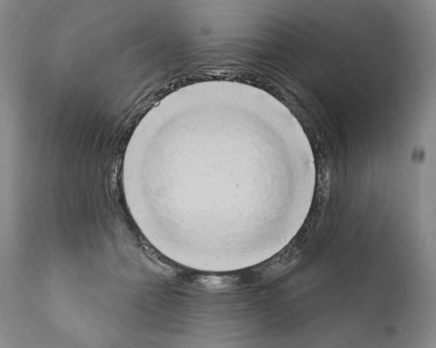 X0000111180558200908121114