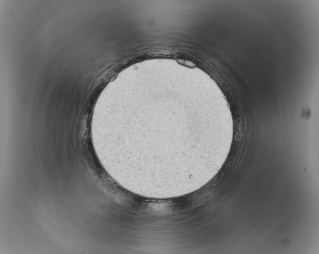 X0000111180560200908121114