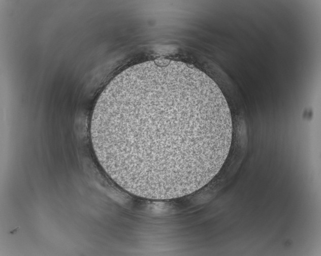 X0000111180565200908121114