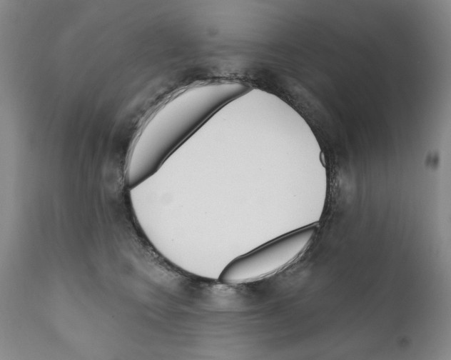 X0000111180566200908121114