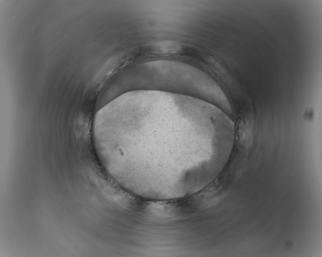 X0000111180568200908121114