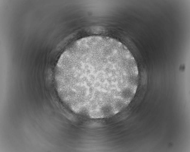 X0000111180569200908121114