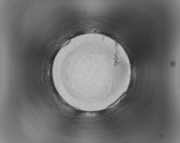 X0000111180570200908121114