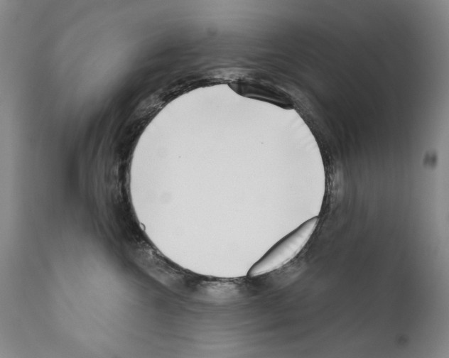 X0000111180572200908121114