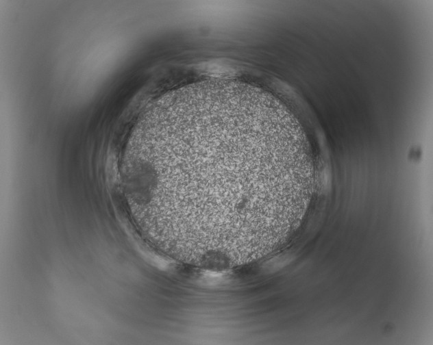 X0000111180573200908121114