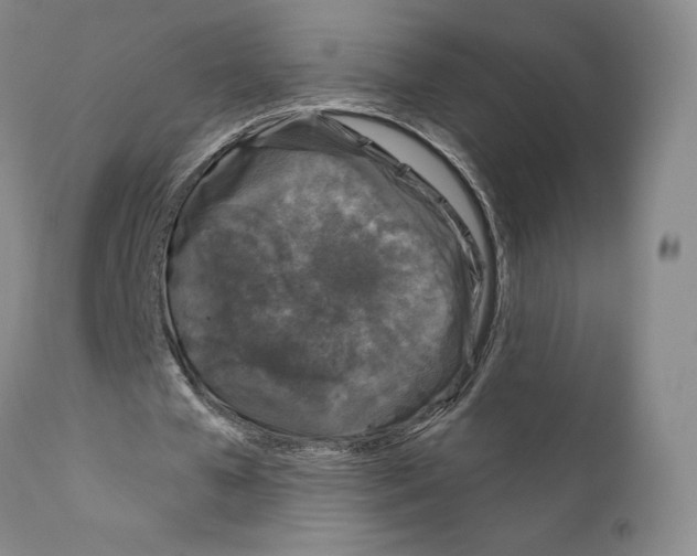 X0000111180577200908121114