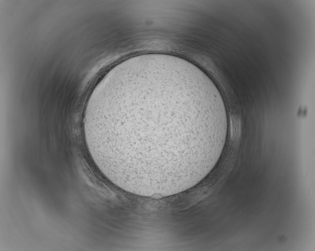 X0000111180579200908121114