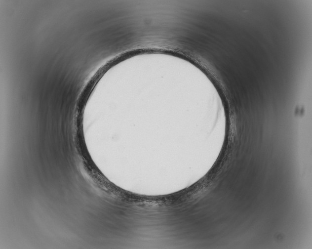 X0000111180580200908121113