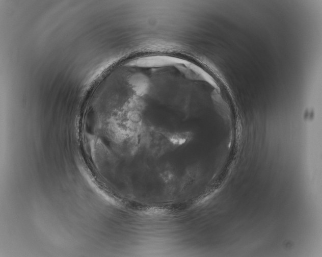 X0000111180581200908121113