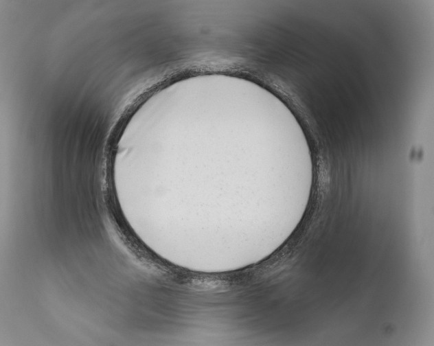 X0000111180582200908121113