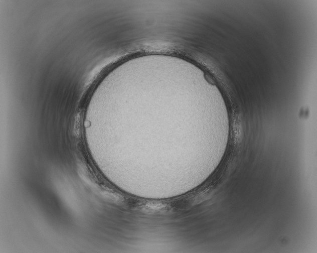 X0000111180583200908121113