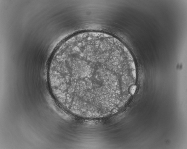 X0000111180584200908121113