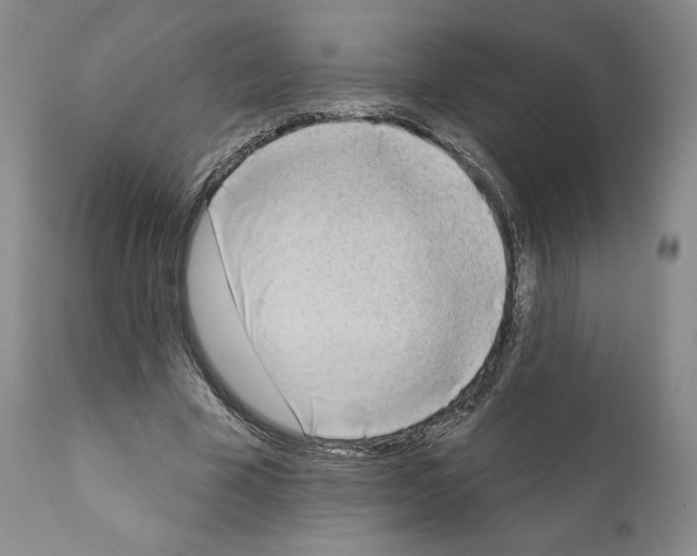 X0000111180585200908121113